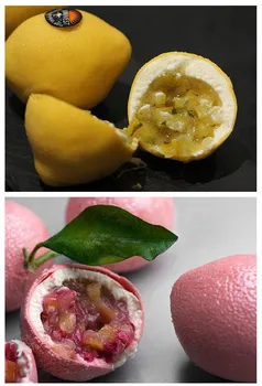 6 Cavitatea 3D de Lamaie Fructe Forma de Silicon Mucegai Negrese Tort Tort Mousse de Matrite Tava de Copt franceză Desert Tort de Decorare