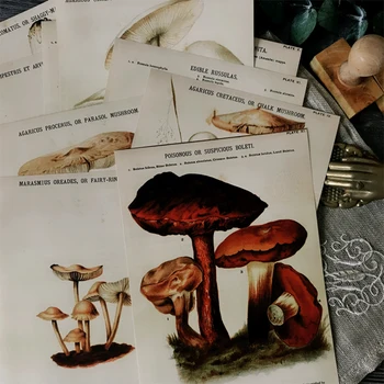 A5 Europene și Americane aflate în dificultate ciuperci plante ilustrare material hârtie DIY album album fericit plan de hârtie decorative