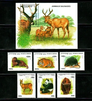 Cambodgia Post de Timbru,1999,Timbre Animale,Animale Sălbatice,Mamifere,6 BUC Samps+1 colita,foarte Original,de Înaltă calitate superioară