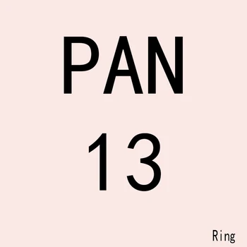 PAN JZ 13