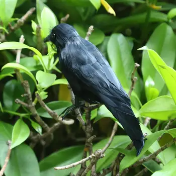 Artificiale Cioara De Simulare Black Crow Model Animal Pasăre Negru Corb Prop Înfricoșător Decor Pentru Petrecerea De Halloween Consumabile