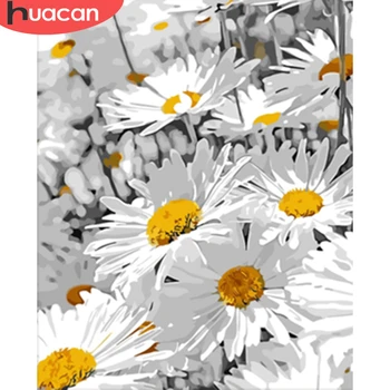 HUACAN Vopsea De Numere de Flori Daisy DIY Pânză Desen Handpainted Imagini De Numărul de Flori Decor Acasă